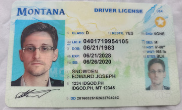 Premium Montana Fake IDs with Holograms & UV Security