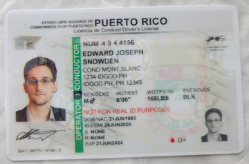 Premium Puerto Rico Fake IDs with Holograms & UV Security
